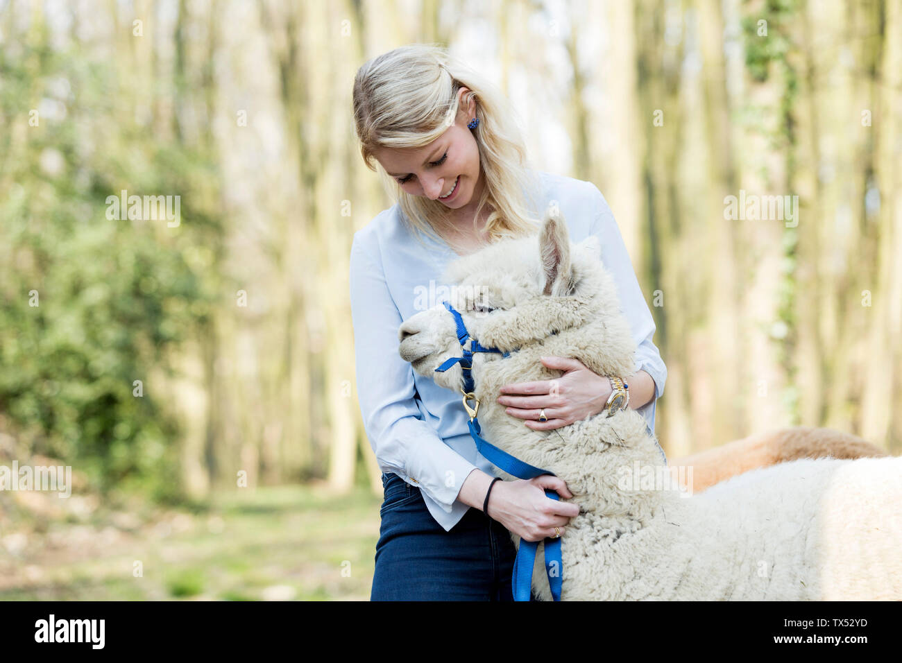 Glückliche Frau Alpaka streicheln Stockfoto