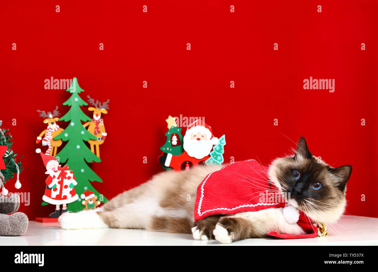 Weihnachten Marionette cat Stockfoto