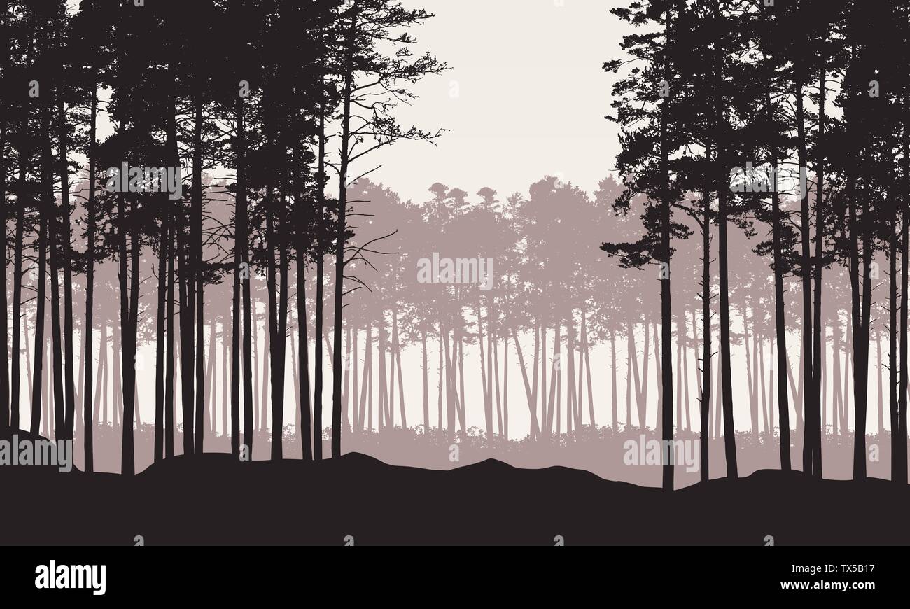 Realistische Darstellung der Landschaft mit Nadelwald mit Pinien unter retro Himmel. Mit Platz für Ihren Text-Vektor Stock Vektor
