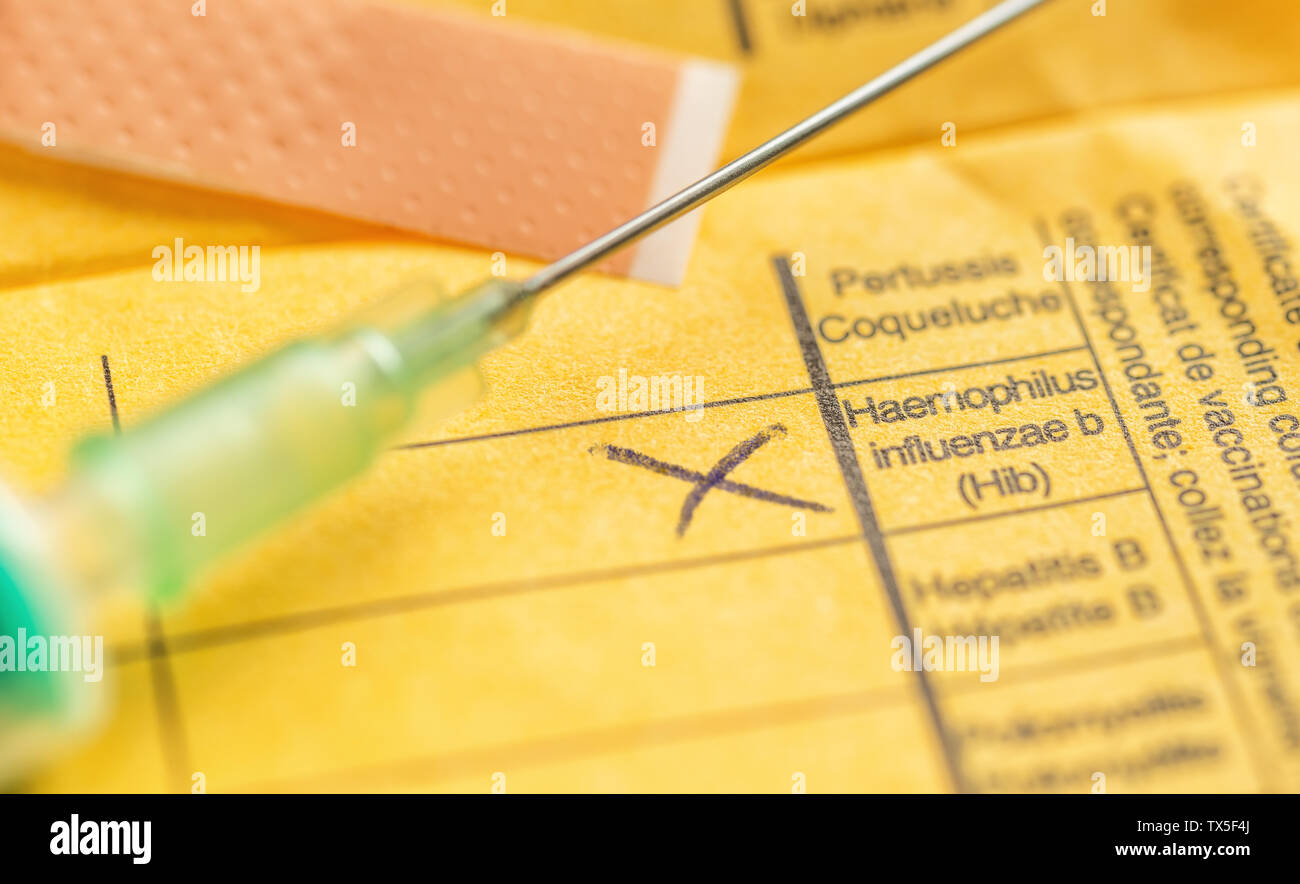 Internationales Zeugnis über die Impfung - Haemophilus influenzae Stockfoto