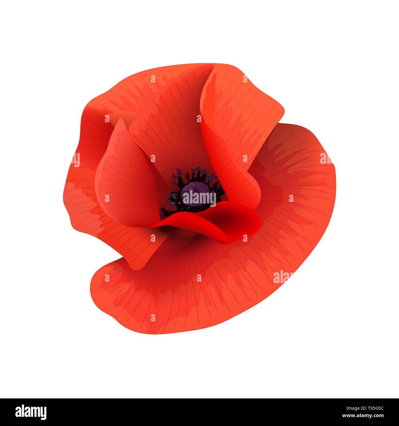 Poppy rote Blume Kopf Ansicht von oben. Scarlett-Blütenblätter. Tag der Erinnerung. Vektorgrafik. Papaveroideae Stock Vektor