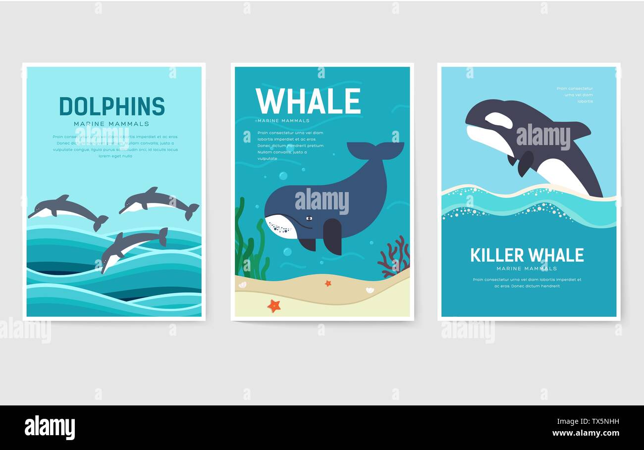 Der meeressäuger Muster Konzept. Art Tier, Zeitschrift, Buch, Plakat, abstrakte, Banner, Element. Vektor Fisch im Ozean leben Paket Grußkarte oder Einladung Stock Vektor