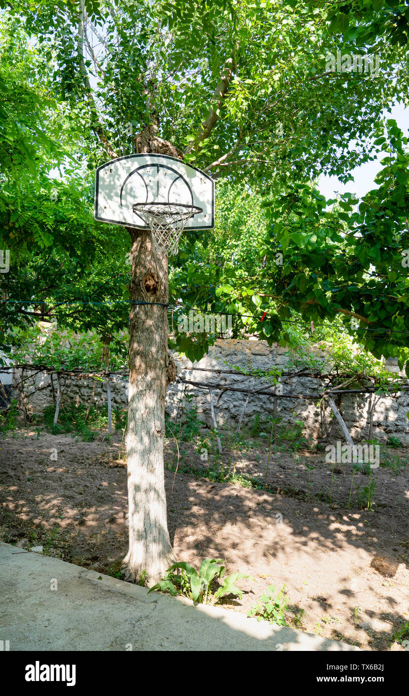 Basketballkorb auf Hung (Anhang) ein grüner Baum Stamm Stockfotografie -  Alamy