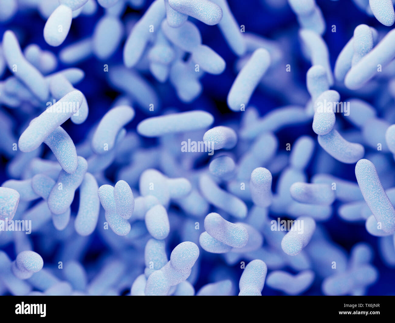 3D-gerenderte Abbildung von Bakterien Stockfoto