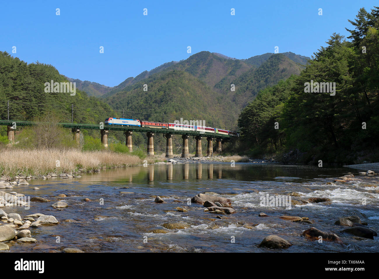 Auf der Yeongdong-Linie durch die Berge. Stockfoto