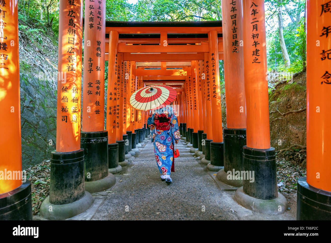 Asiatische Frauen in der traditionellen japanischen Kimonos an Fushimi Inari Schrein in Kyoto, Japan. Stockfoto