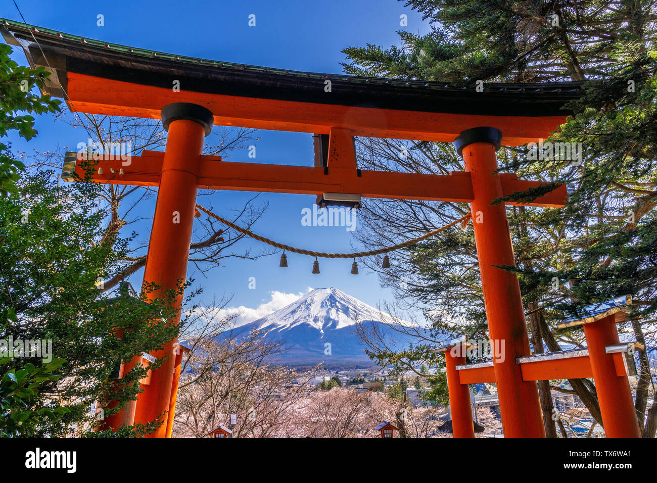 Rote Pole und Fuji Berge in Japan. Stockfoto