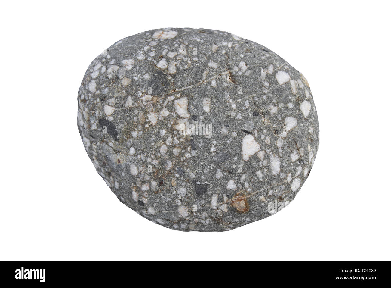 Sedimentäre Lithic Konglomerat Rock Muster - Schlecht sortiert, die Fragmente der Dunklen mudstone und weißen Quarz/Quarzit Stockfoto