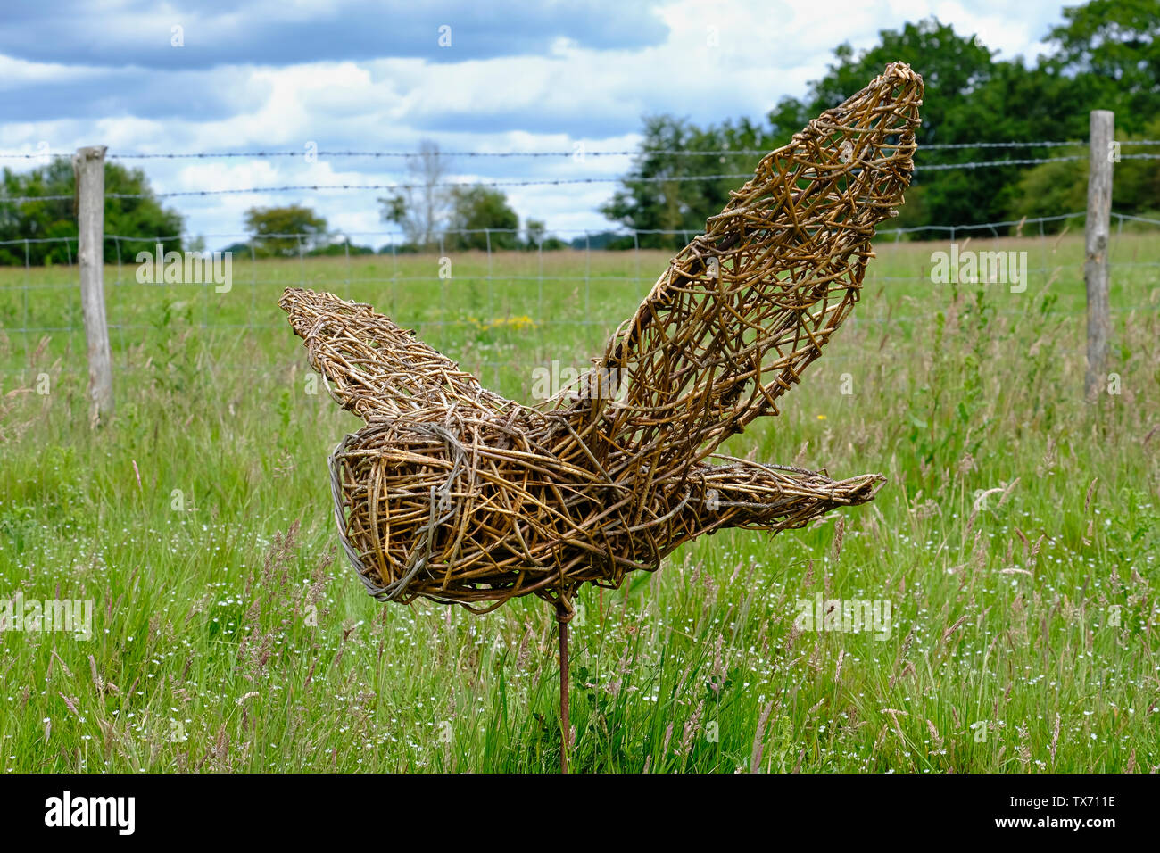 RSPB Nature Reserve, Pulborough Brooks, West Sussex, UK. Willow Skulptur einer Schleiereule (Tyto alba) fliegen tief über die Felder. Stockfoto