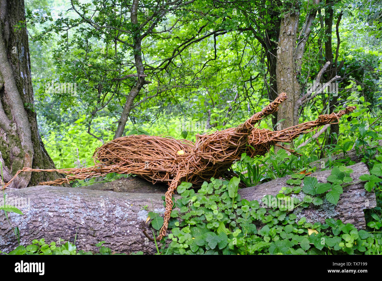 RSPB Pulborough Brooks Nature Reserve, West Sussex, UK. Willow Skulptur eines Hirschkäfer (Lucanus cervus) auf einen gefallenen Log platziert. Stockfoto