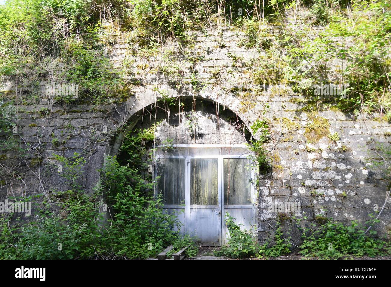 Eingang zu einem alten Keller, von Steinen und Pflanzen umgeben Stockfoto