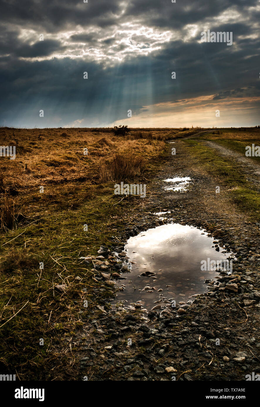 Bodmin Moor nach Sturm, dunklen Himmel Sonne durch auf Granit Steine und Pfützen auf Bodmin Moor brechen, Stockfoto