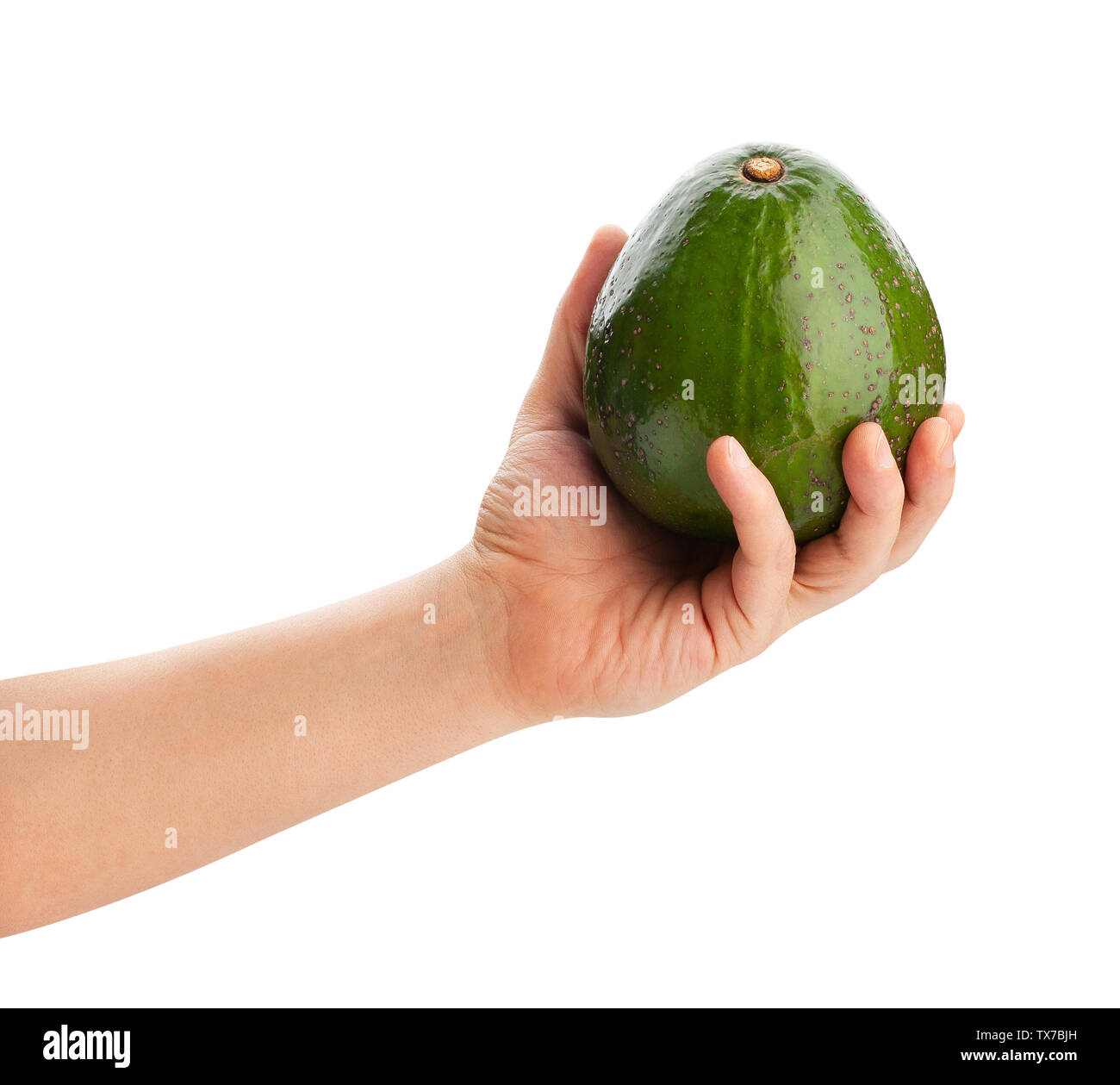 Avozilla Avocado in der Hand weg isoliert Stockfoto