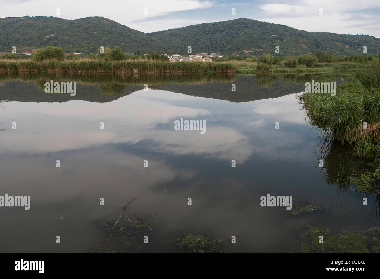 Changguang Creek Feuchtgebiete und Feuchtgebiet Pflanzen Stockfoto