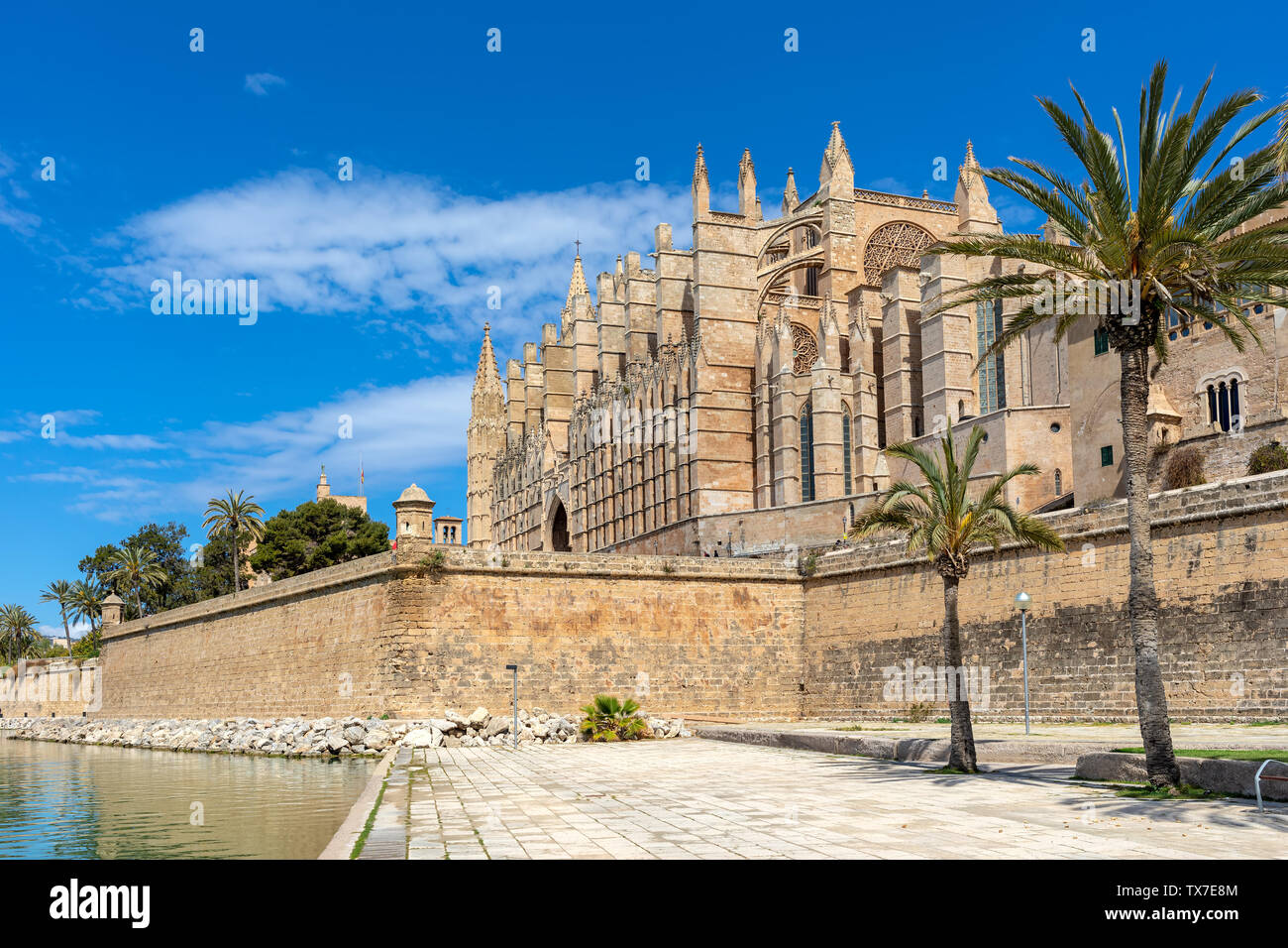 Die berühmte Kathedrale von Santa Maria unter Blues Himmel als vom Parc de la Mar in Palma de Mallorca, Spanien. Stockfoto