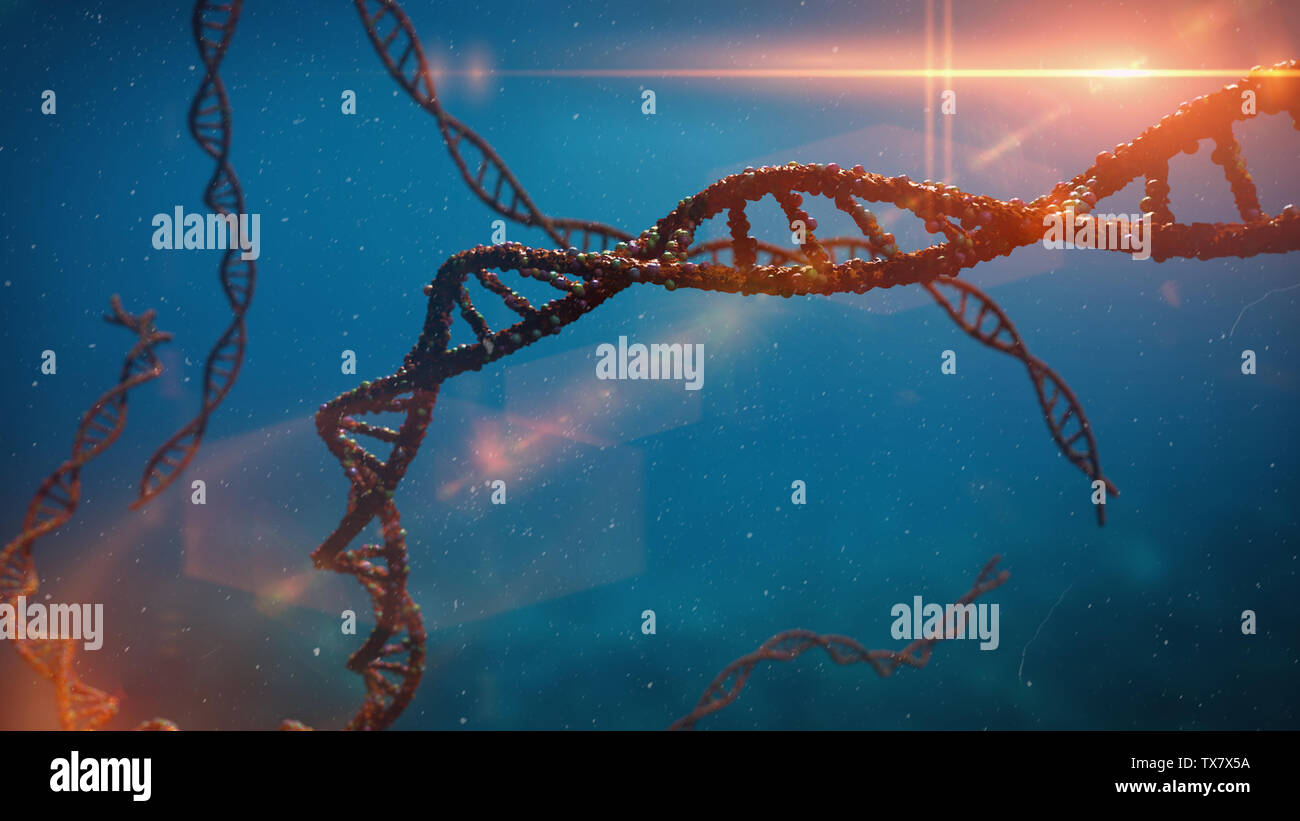 DNA-Molekül, der Doppelhelix, die genetischen Anweisungen (3d Wissenschaft rendering) Stockfoto