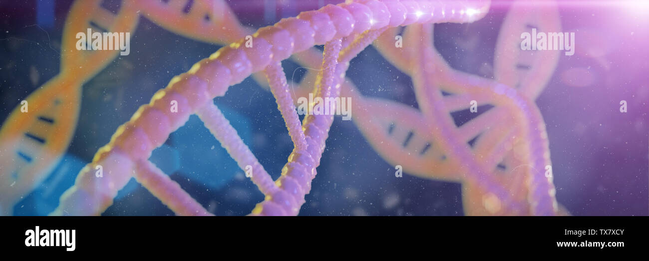 DNA-Struktur, Molekül, das Konzept, der Doppelhelix, die genetischen Anweisungen (3d Wissenschaft Abbildung Banner) Stockfoto