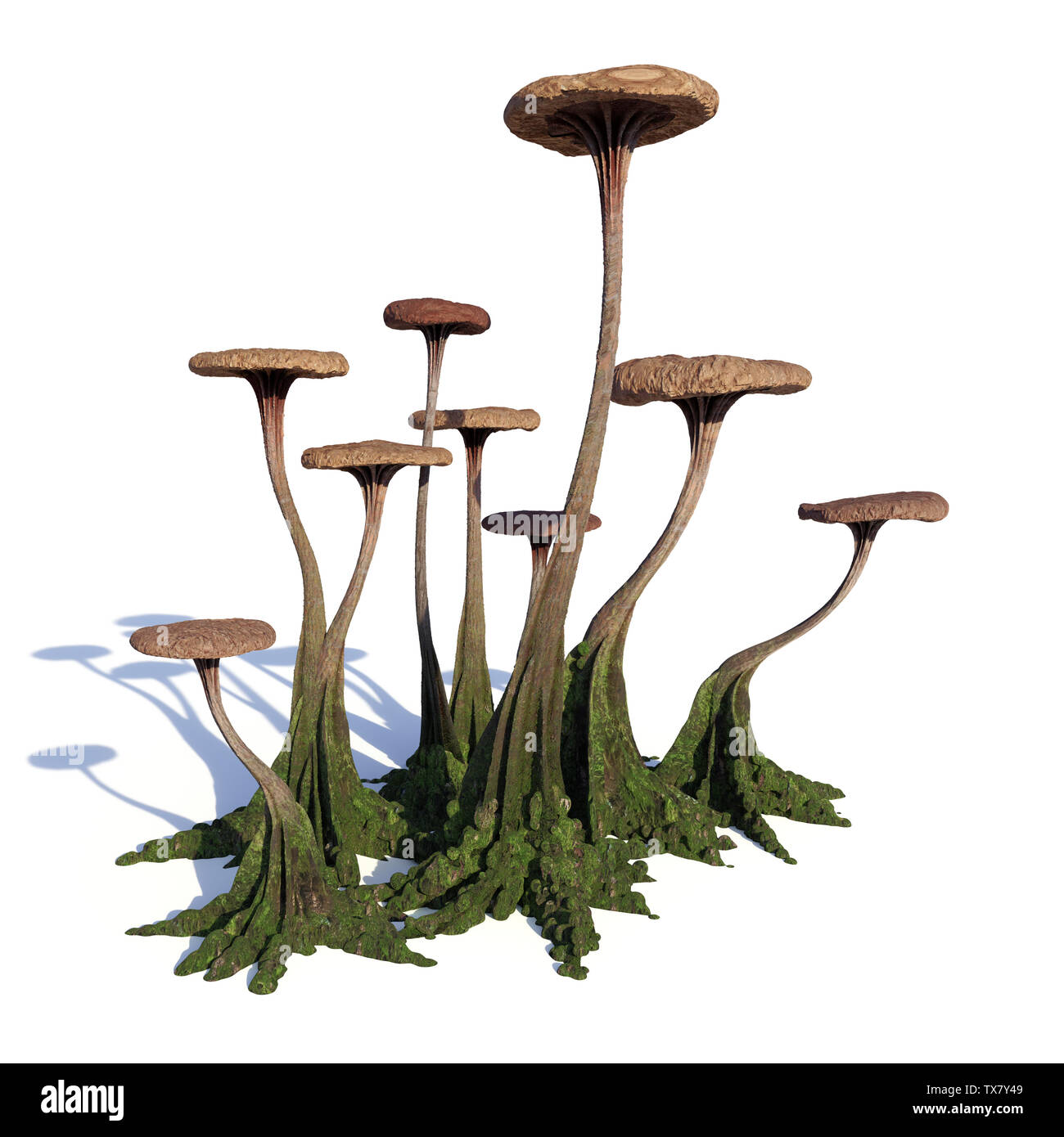 Pilze, Seltsame ausserirdische Pilz isoliert auf weißem Hintergrund (3D-rendering Hintergrund) Stockfoto