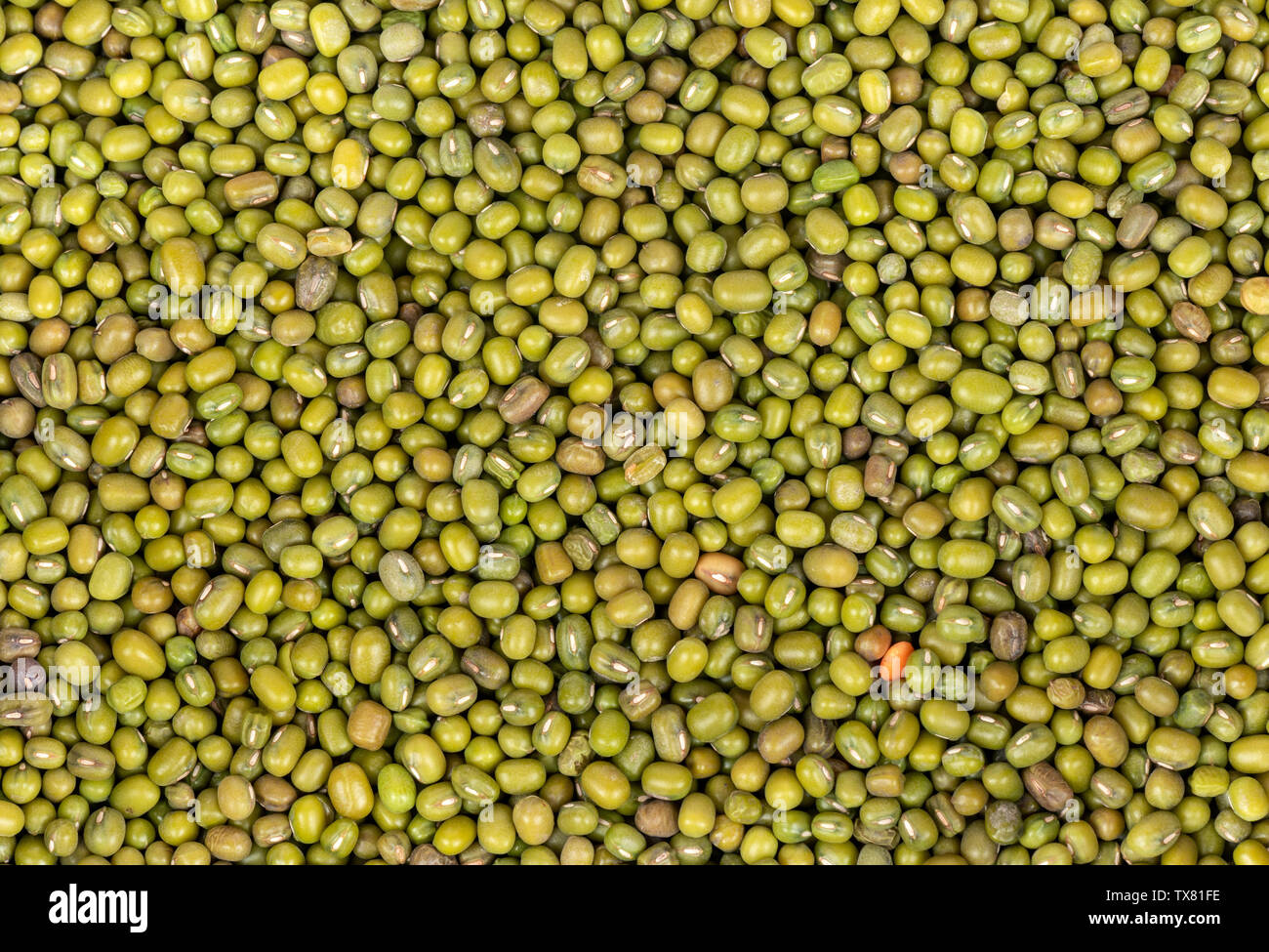 Hintergrund von trockenem Getreide grün mung Nahaufnahme Stockfoto
