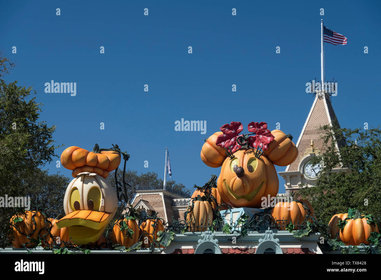Donald Duck und Minnie Mouse Halloween Kürbis Zeichen, Disneyland, Los Angeles, Kalifornien, USA Stockfoto