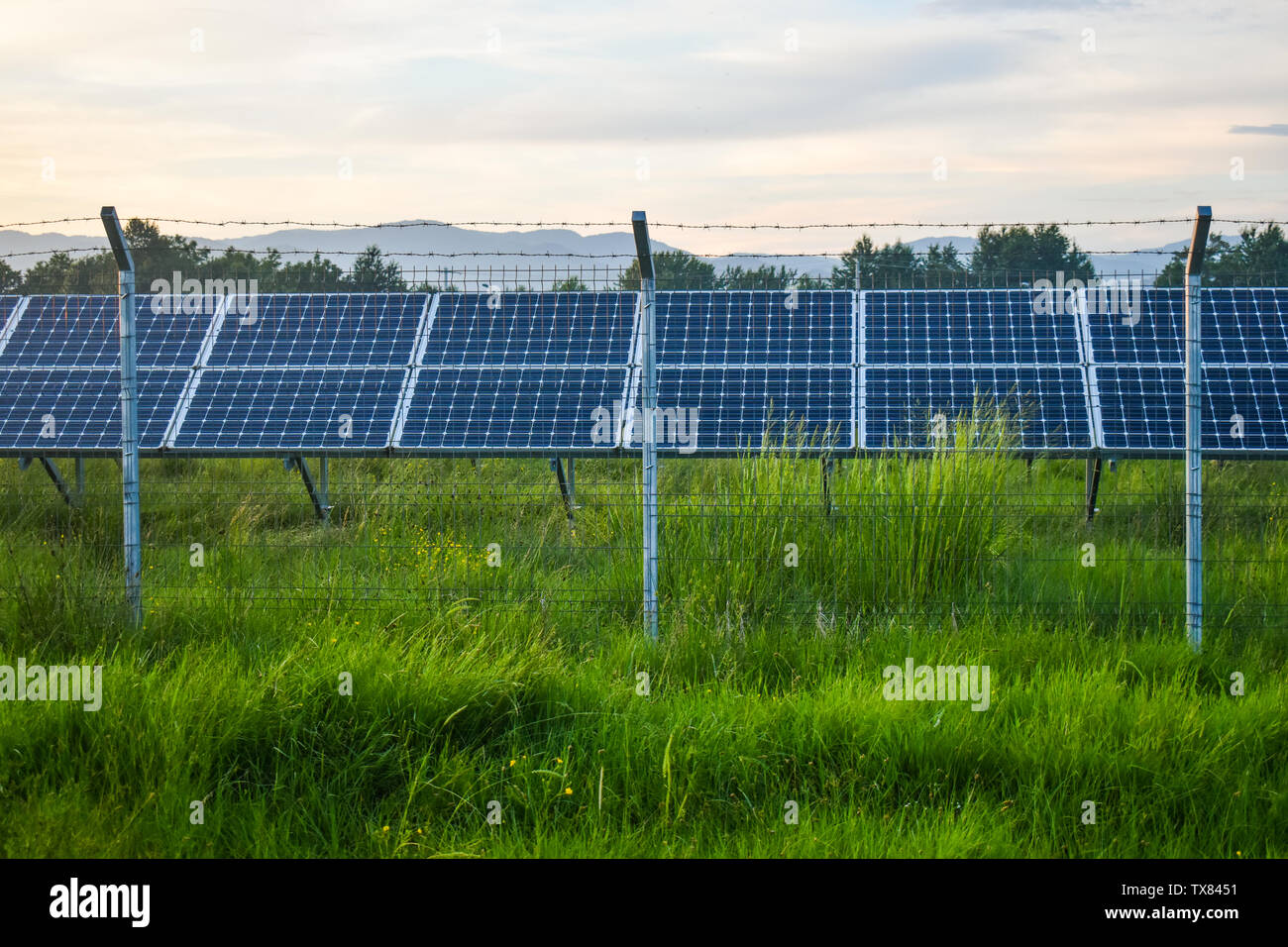 Sonnenuntergang über eine Photovoltaikanlage mit Photovoltaik-modulen für erneuerbare Energie auf dem Feld. Solar Power Generation Ausrüstung mit Europa gebaut Stockfoto