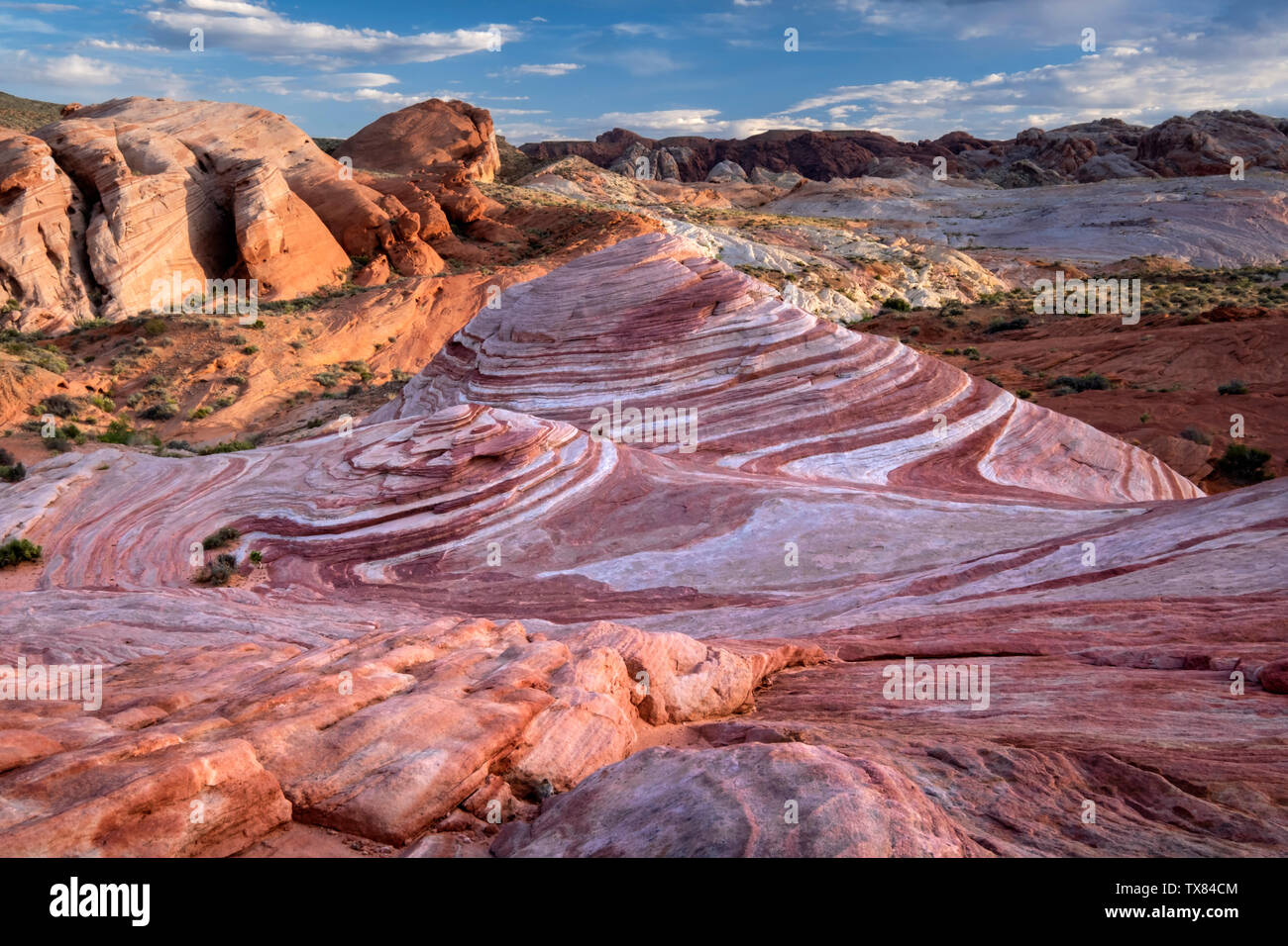 Die Fire Wave, Valley of Fire State Park, Nevada, USA Stockfoto