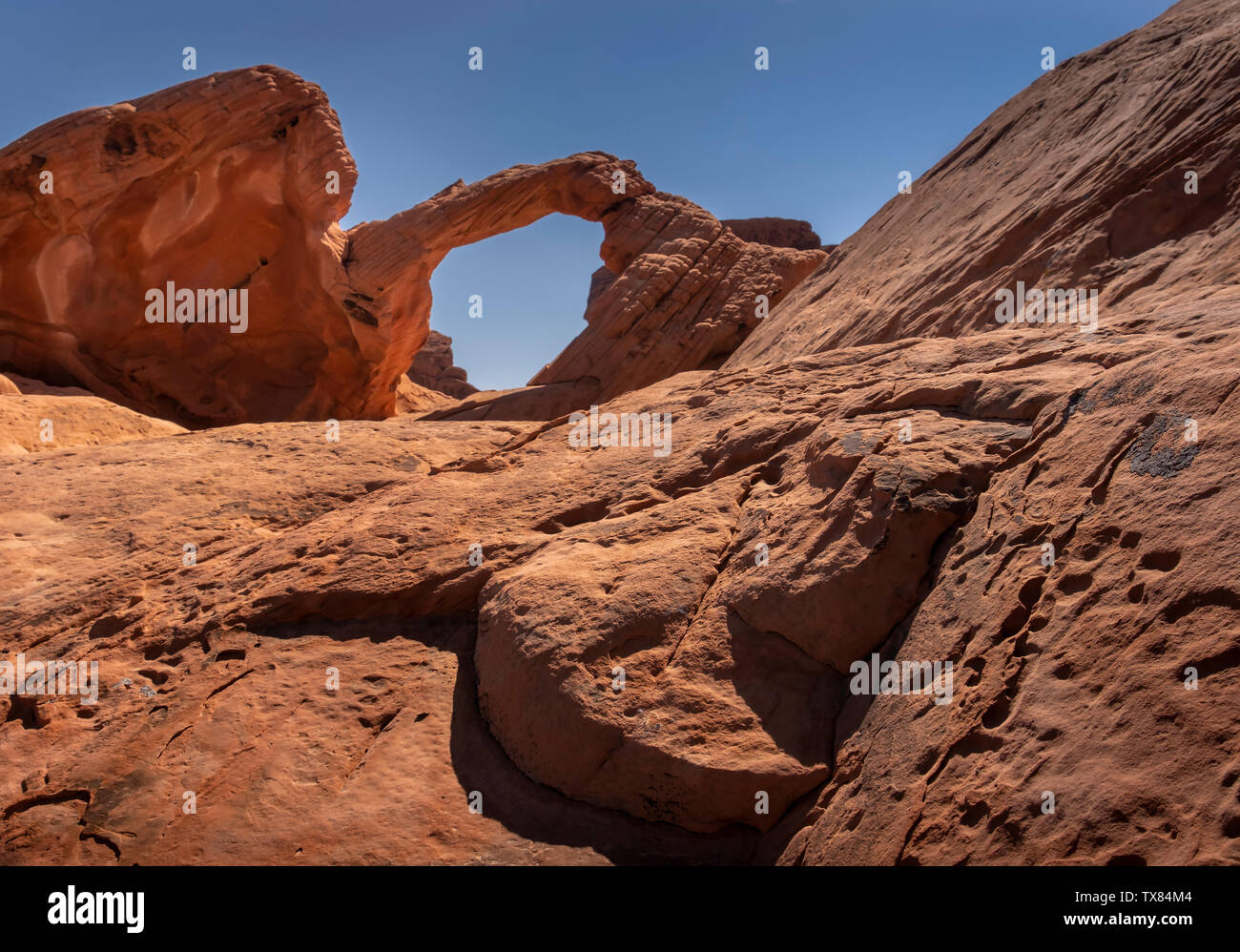 Arch Rock natürliche Sandstein Arch, Valley of Fire State Park, Nevada, USA Stockfoto