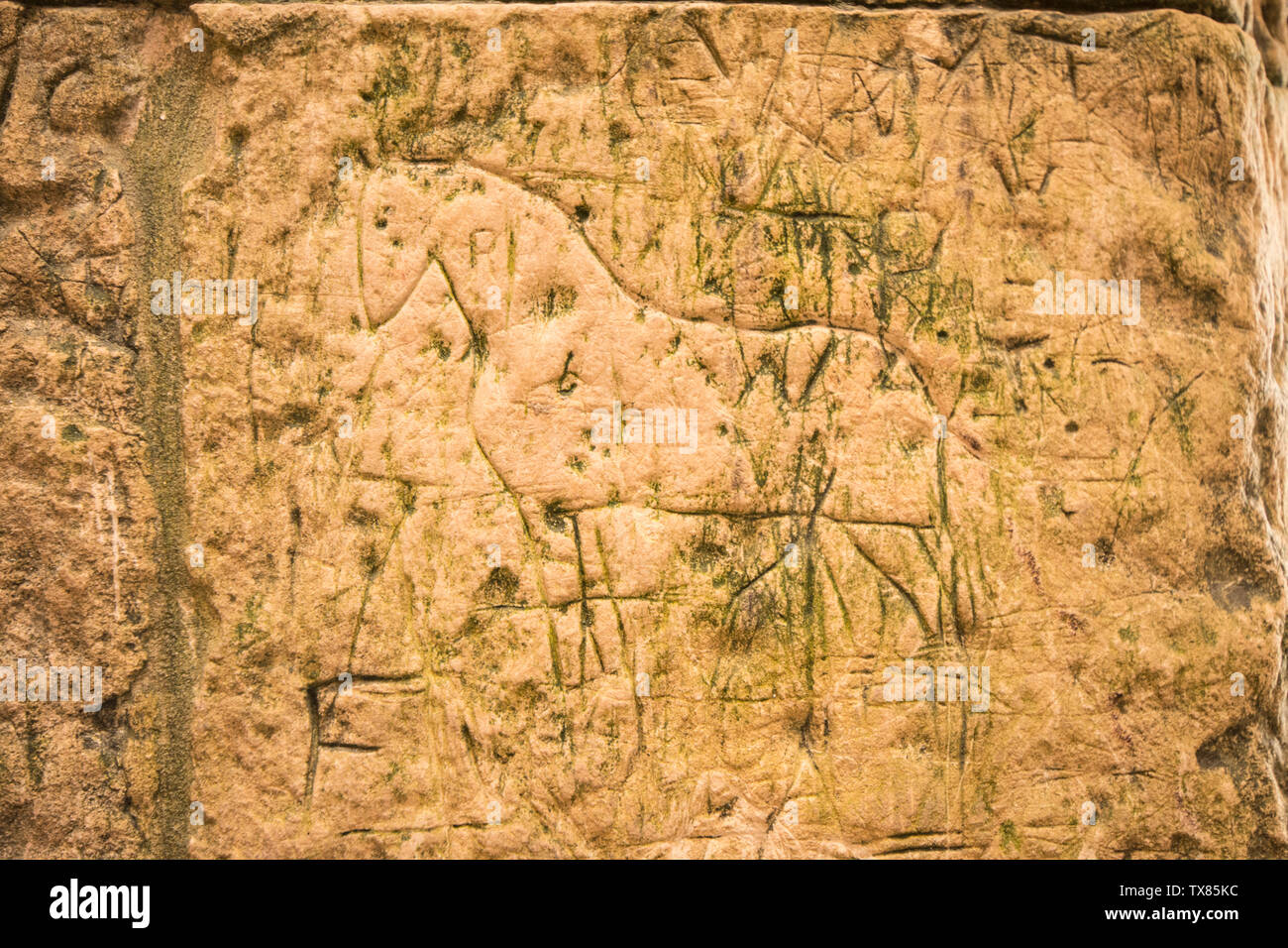 St Benets Abbey, Norfolk, geschnitzte Graffiti, Initialen, Nachrichten, Namen an den Wänden der Alten Torhaus in die zerstörte Mühle, Norfolk, Großbritannien Stockfoto