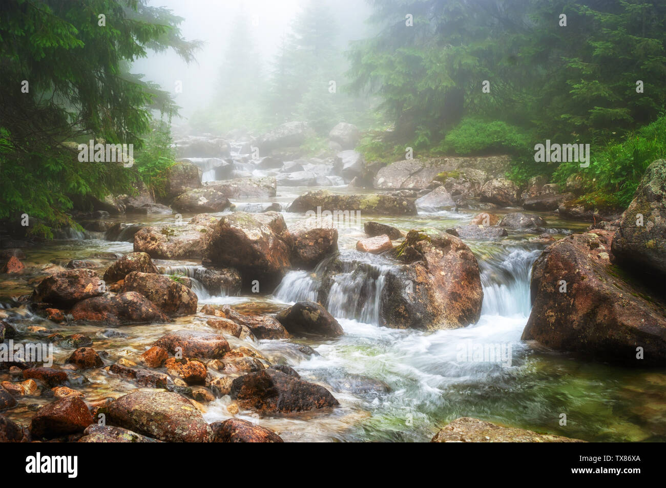 Mountain Stream Tatra Stockfoto