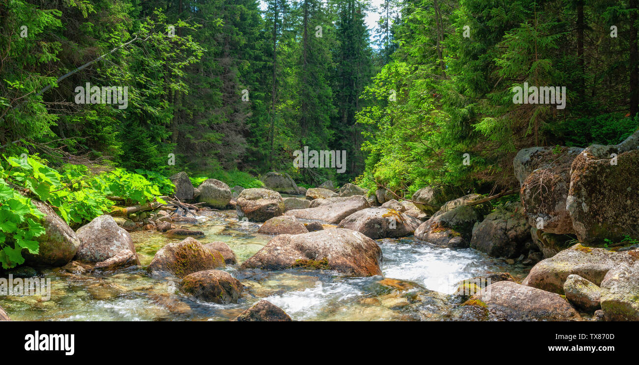 Mountain Stream Tatra Stockfoto