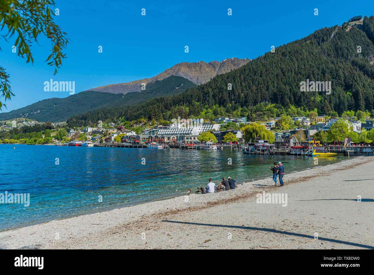 Blick auf den Strand des Lake Wakatipu, Queenstown, Neuseeland Stockfoto