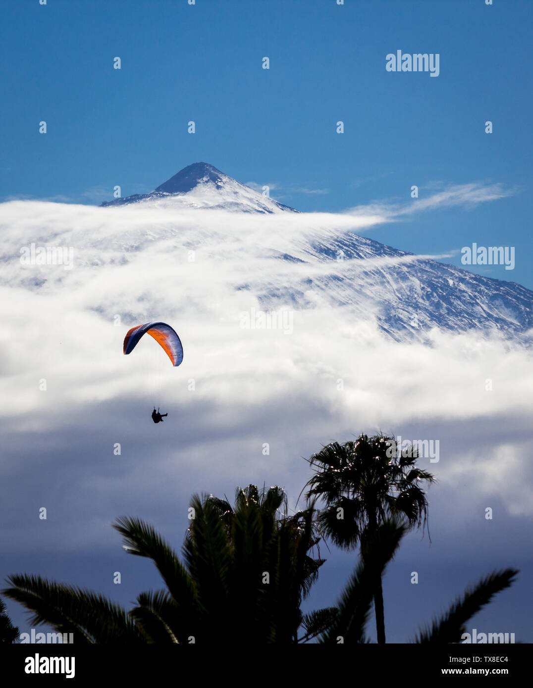 Gleitschirm fliegen hoch in den Wolken mit einem großen Berg im Hintergrund und Palmen im Vordergrund. Stockfoto