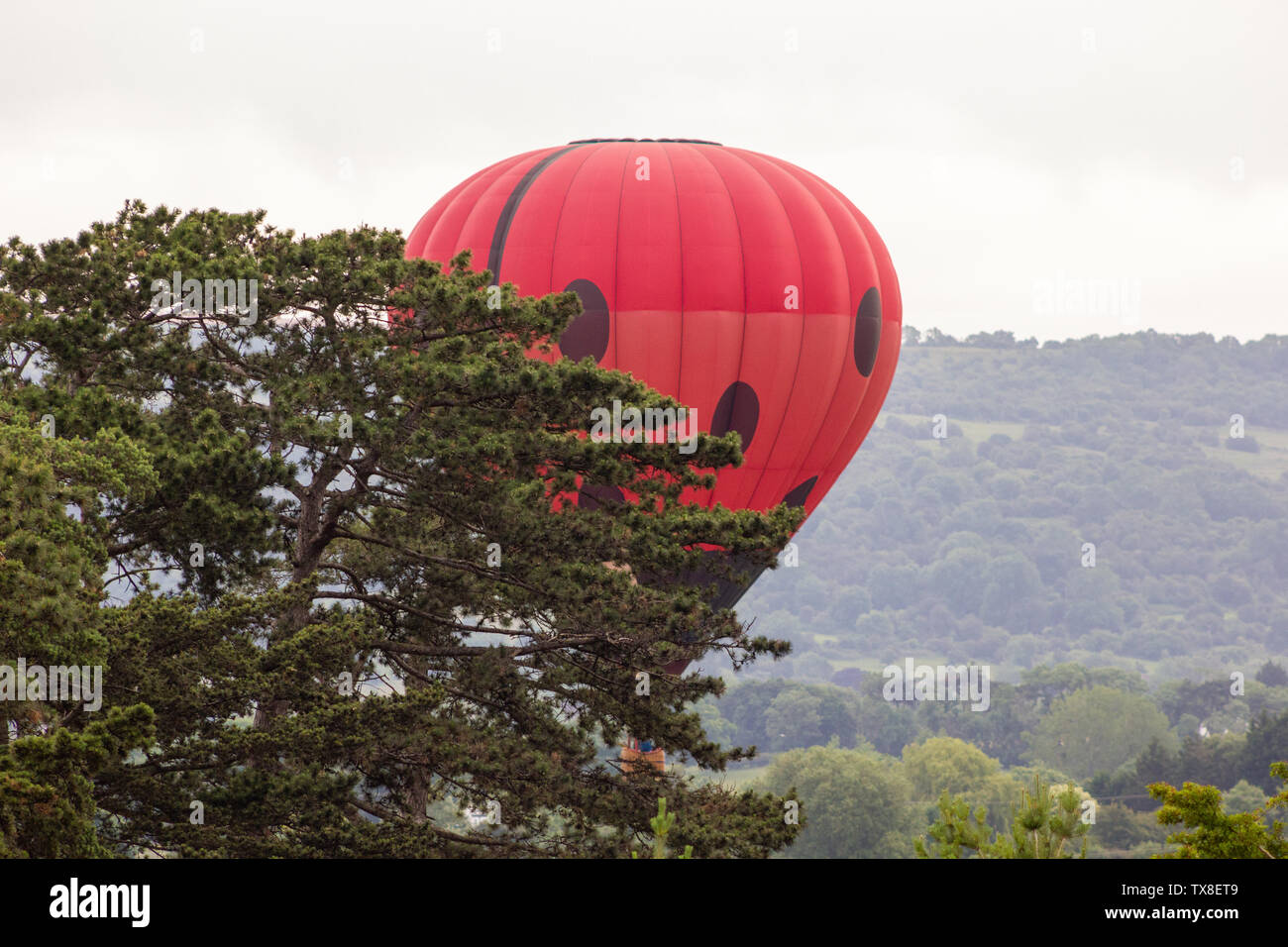 Cheltenham Balloon Fiesta 2019 Stockfoto