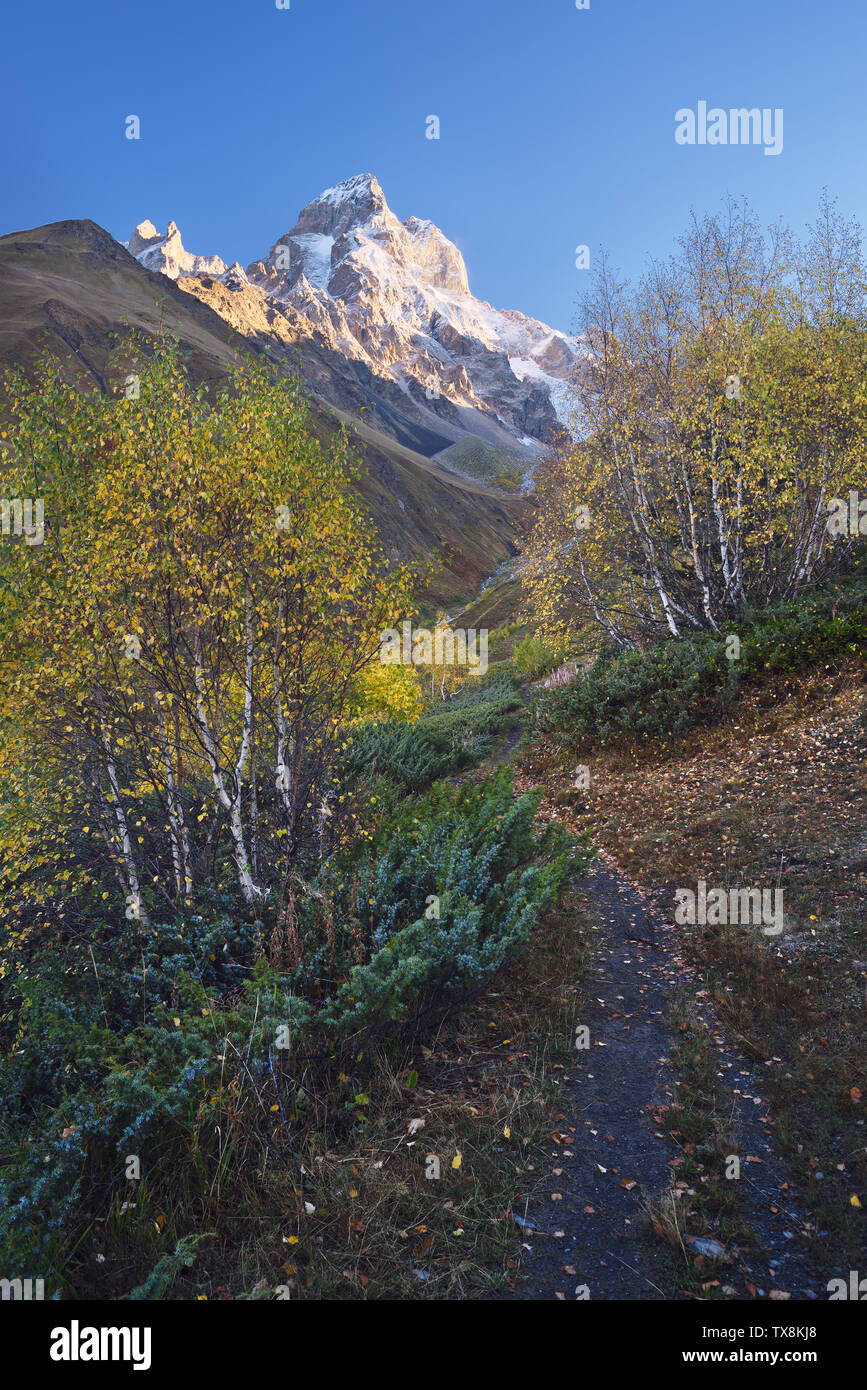 Herbst Landschaft. Weg in die Berge. Berg Ushba, kaukasische Ridge. Zemo Swanetien, Georgien Stockfoto