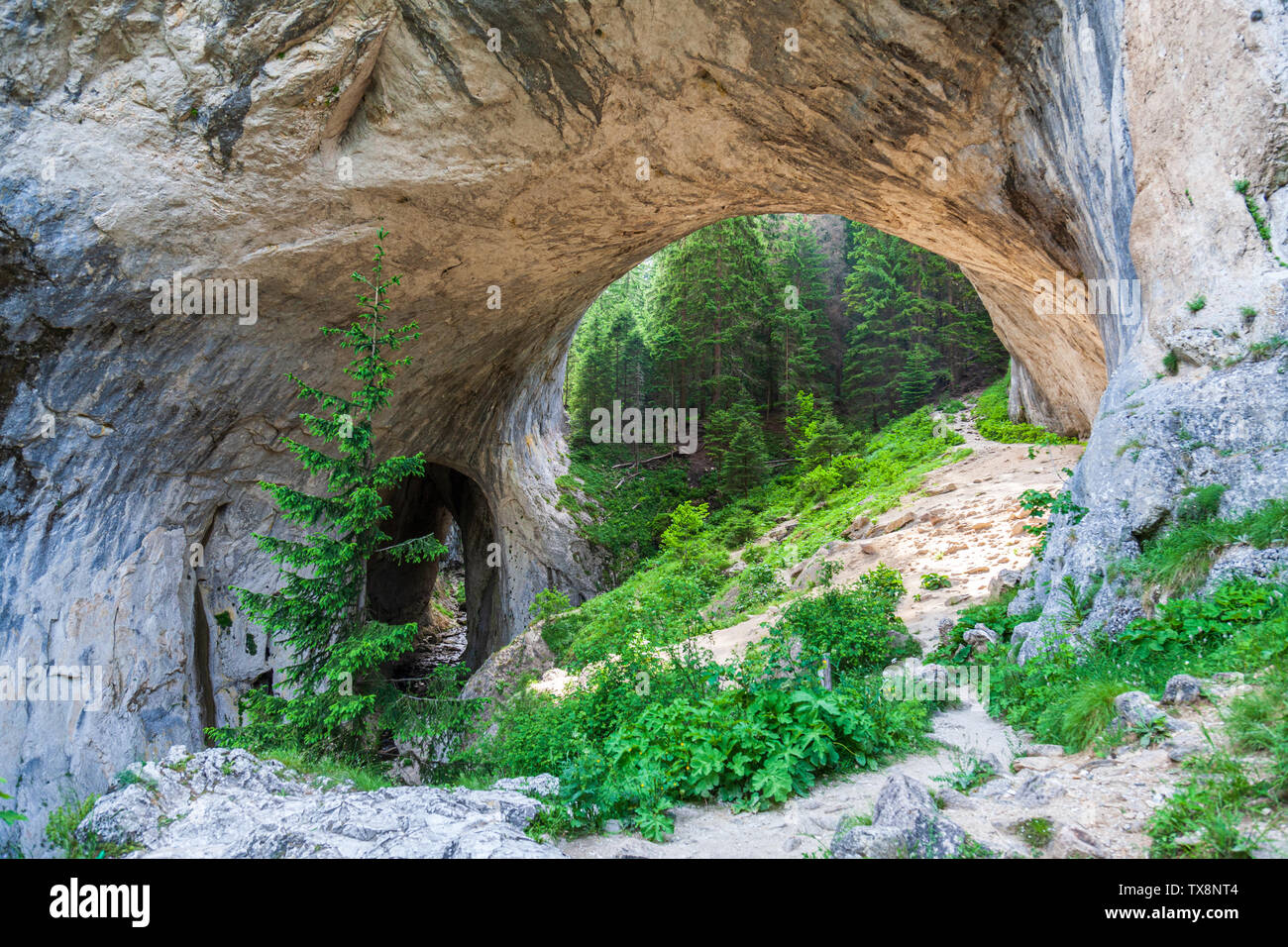 Die wunderbaren Brücken oder Wunderbare Brücken Bulgarien Stockfoto