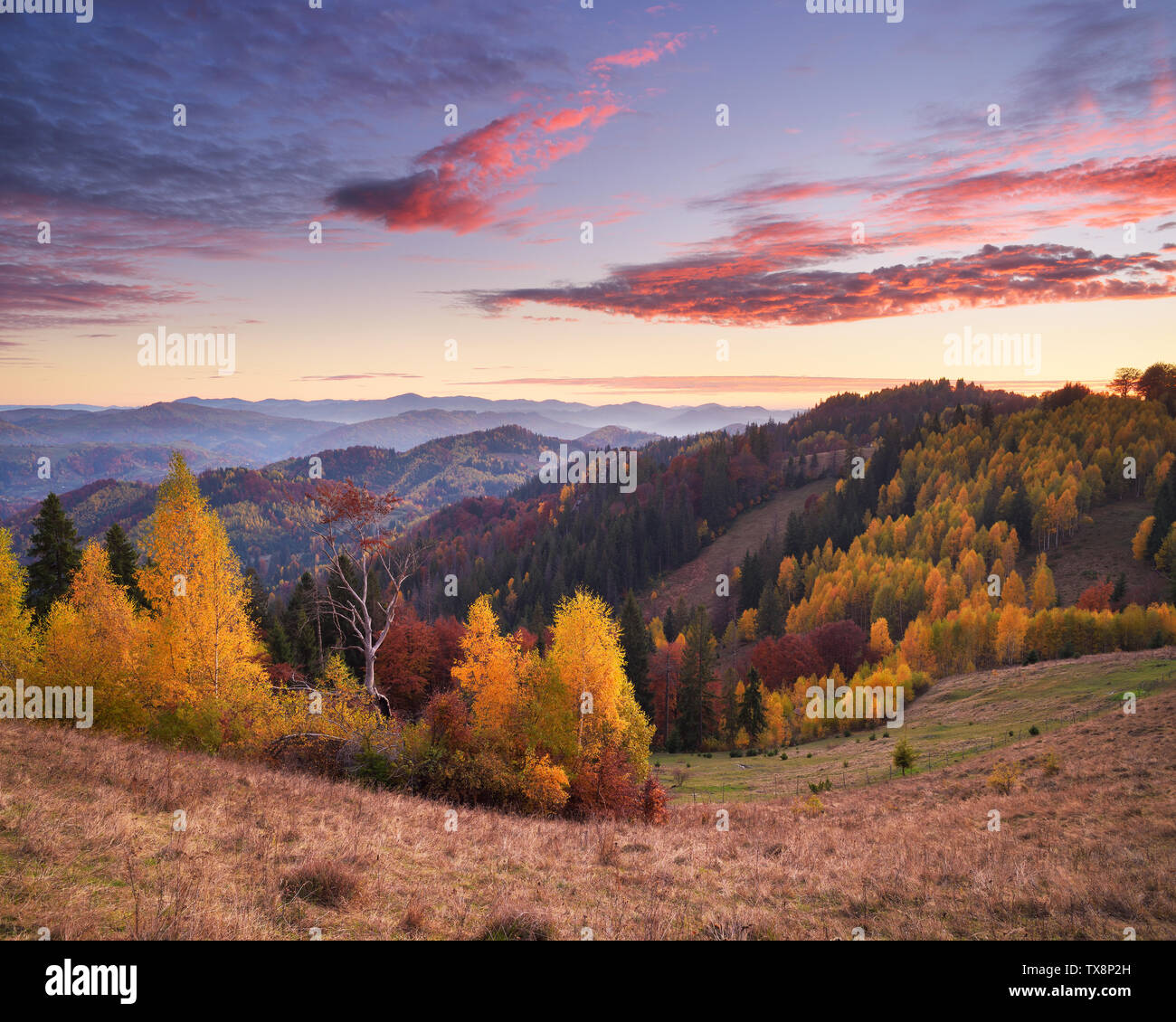 Herbst Landschaft bei Sonnenaufgang in den Bergen. Schönen Wald am Hang. Karpaten, Ukraine, Europa Stockfoto
