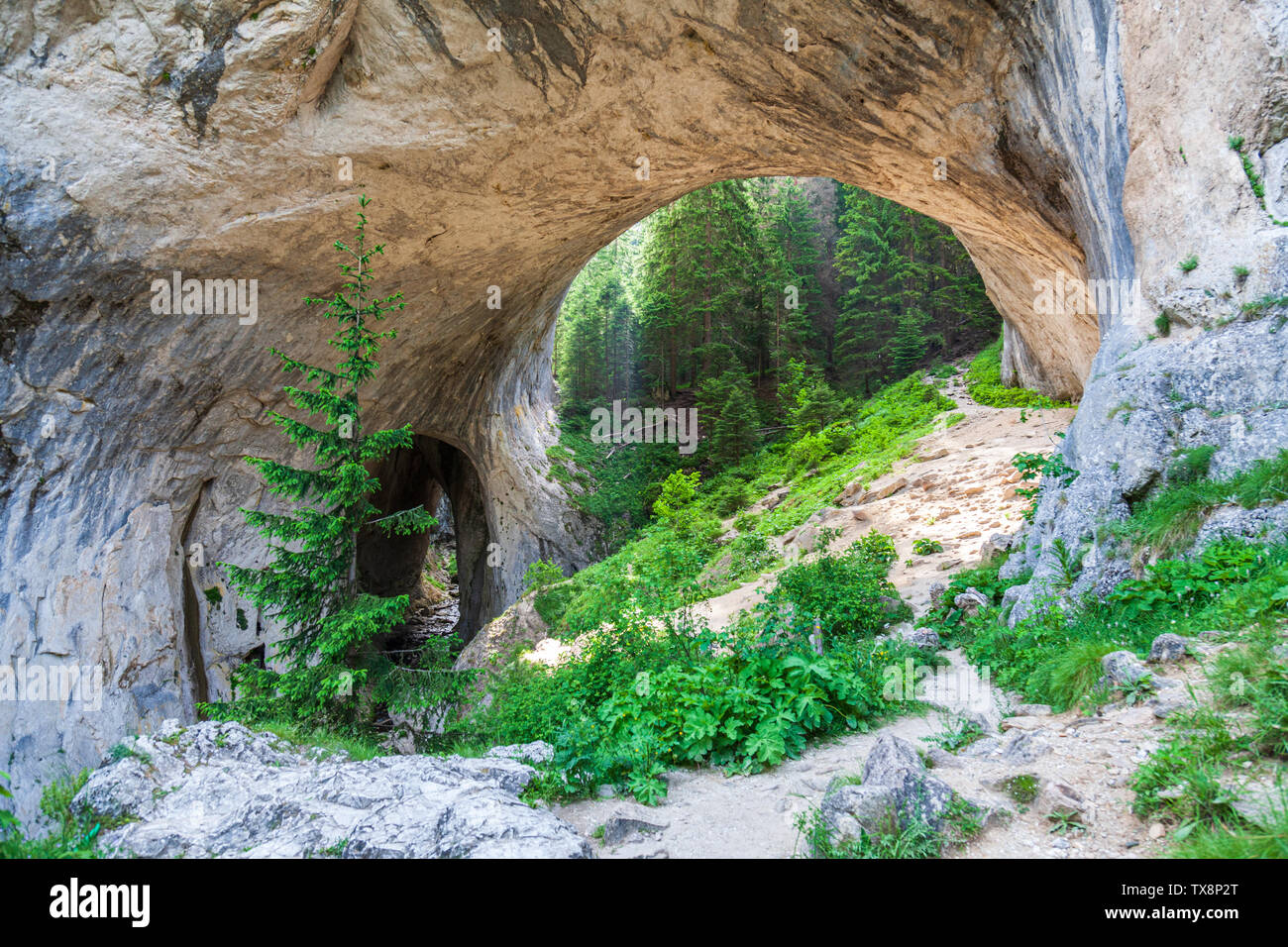 Die wunderbaren Brücken oder Wunderbare Brücken Bulgarien Stockfoto