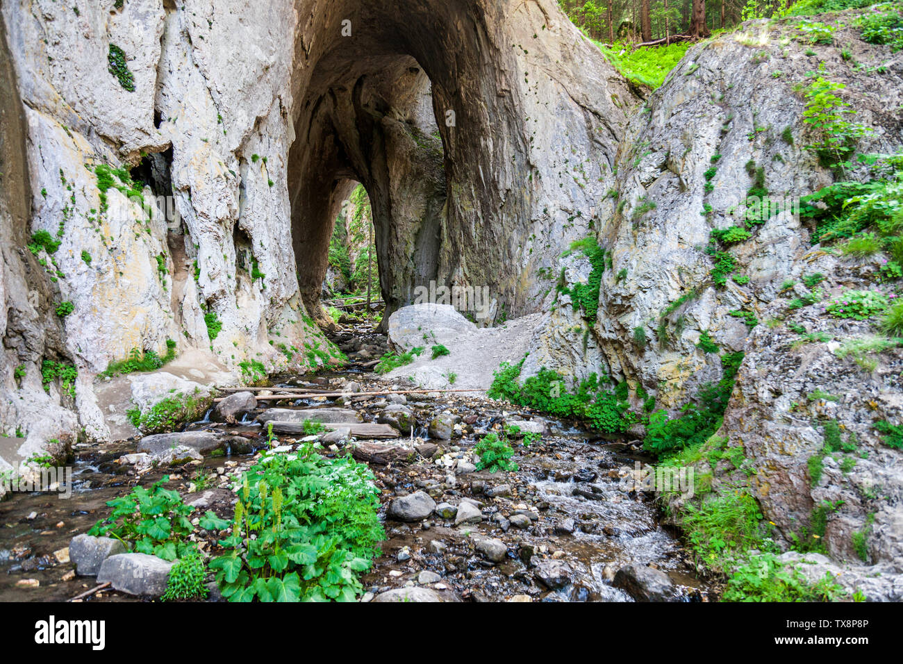 Die wunderbaren Brücken oder Wunderbare Brücken Bulgarien Stockfoto