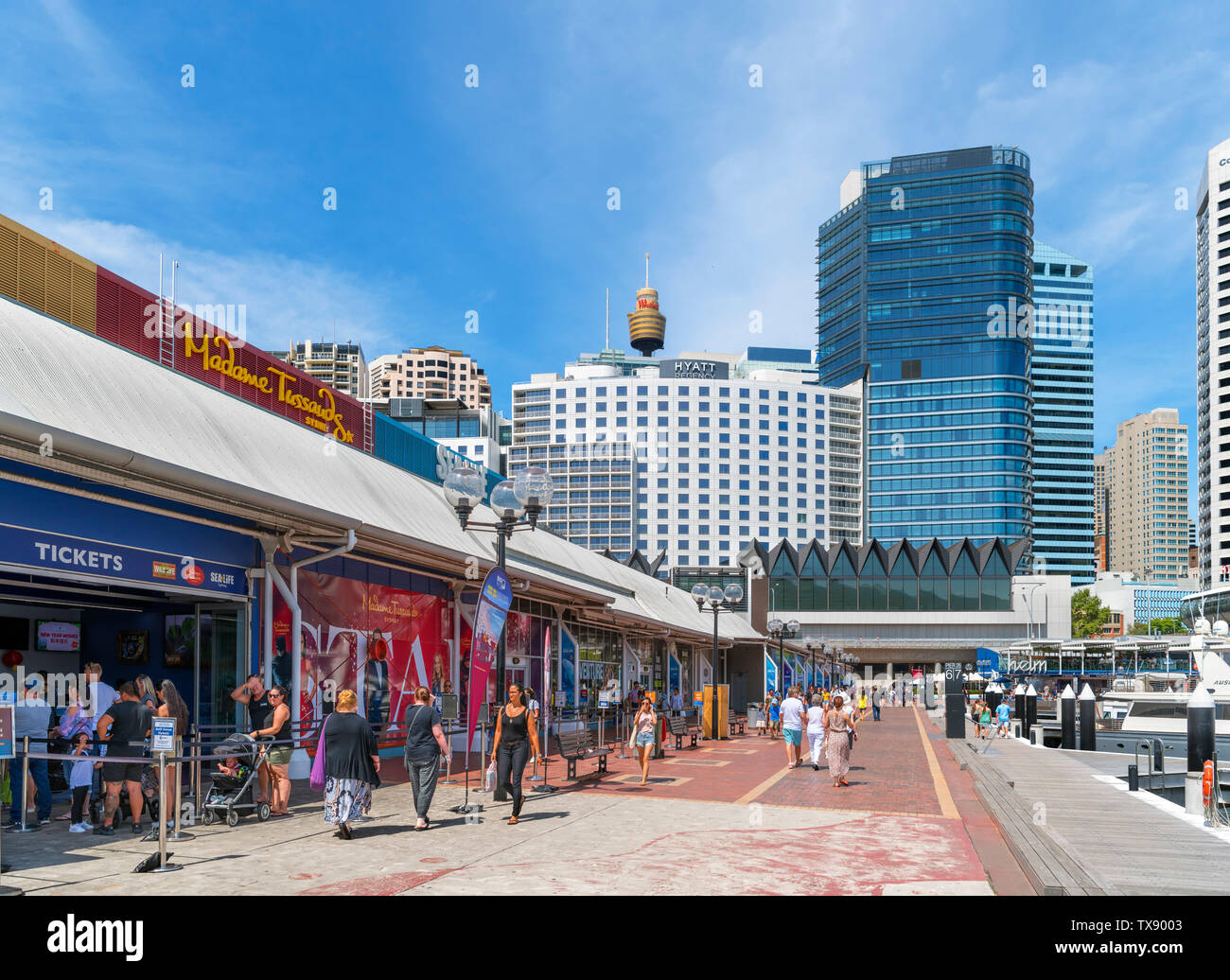 Aquarium Wharf, Darling Harbour, Sydney, Australien Stockfoto