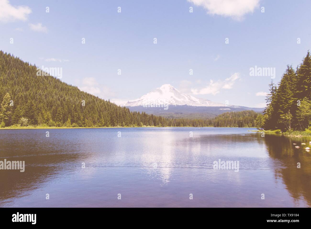 Schöne Aufnahme eines großen Flusses in einem Wald mit Hügel und Bäume auf beiden Seiten Stockfoto