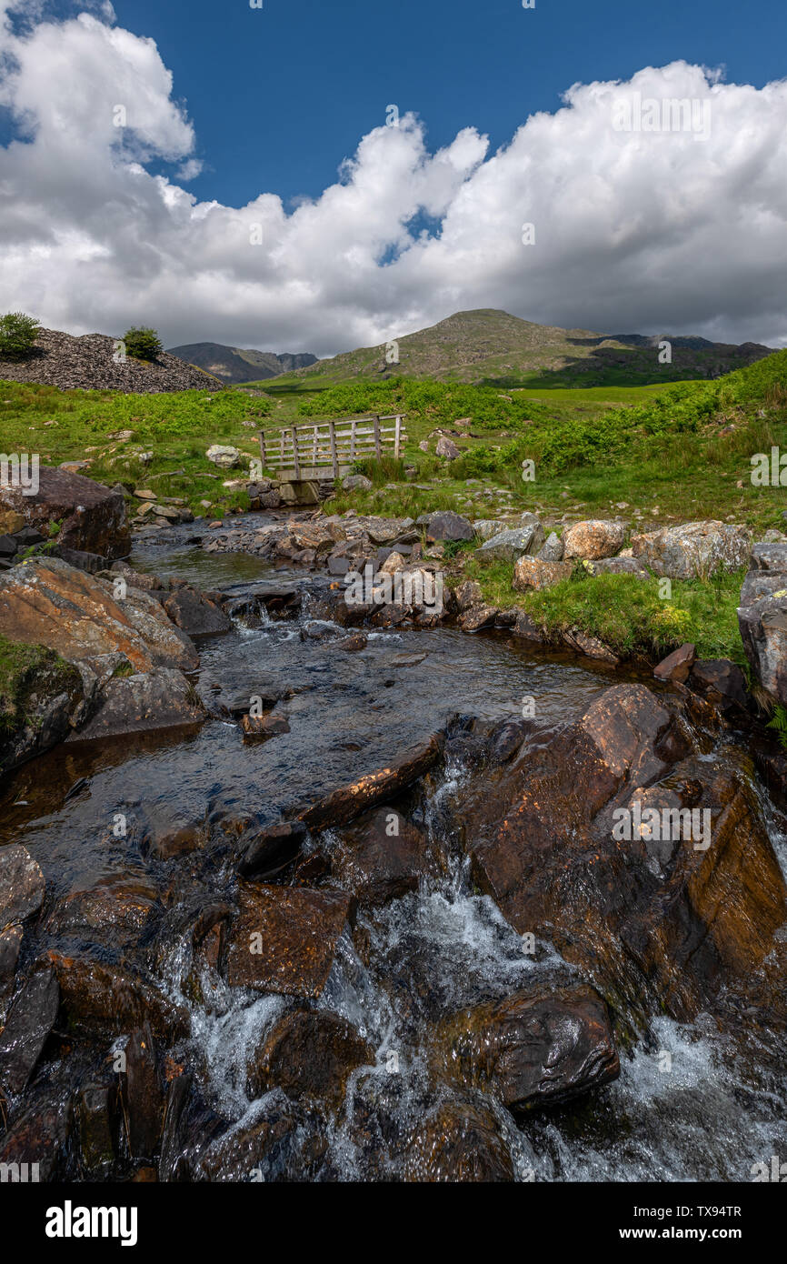 Sommer Cove Beck in der Nähe von torver South Lakeland Stockfoto