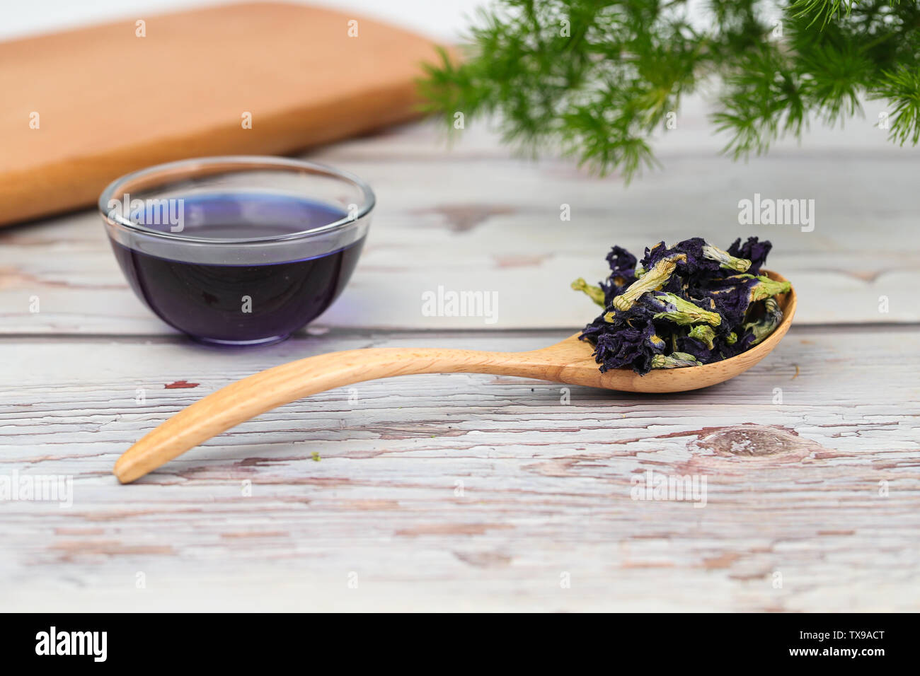 Schmetterling bean flower Tee blauer Schmetterling Blume Stockfoto