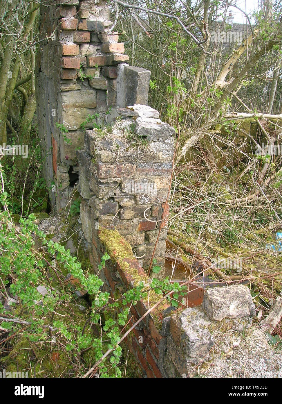 Millburn Cottage mit Giebelgauben mit Tür- und Kamingrippe; 8. April 0009; selbstgemacht - Roger Griffith; Rosser (Talk); Stockfoto