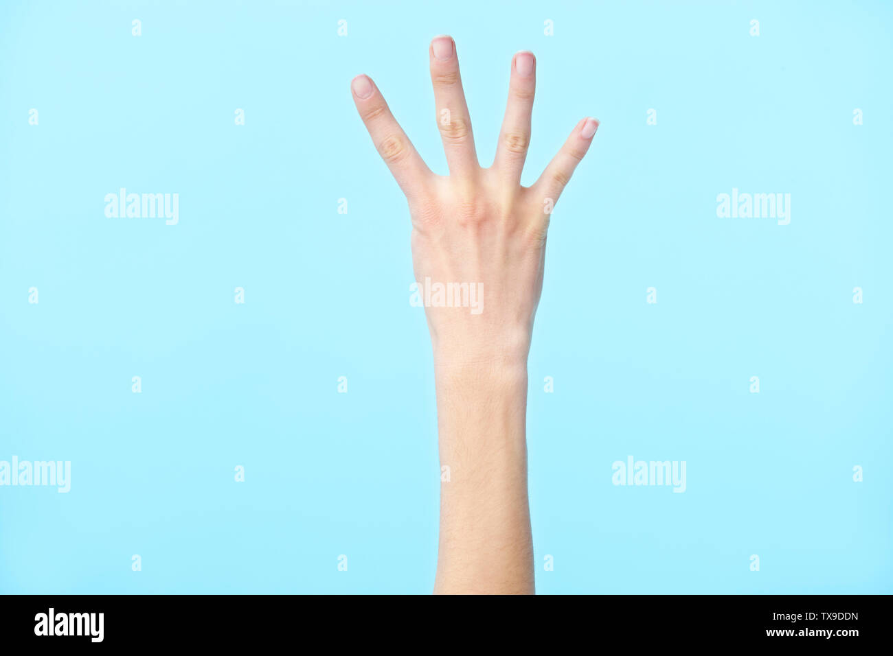 Menschliche Hand zeigt die Nummer vier, auf blauem Hintergrund isoliert Stockfoto