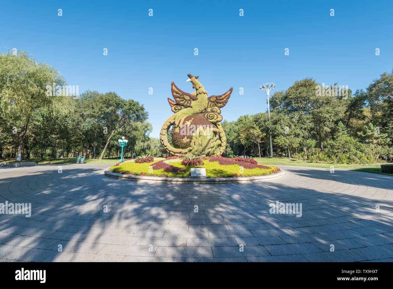 Wald, Wiese, Straße, Sun Island Scenic Area, Herbst sonniger Tag, Harbin, China Stockfoto