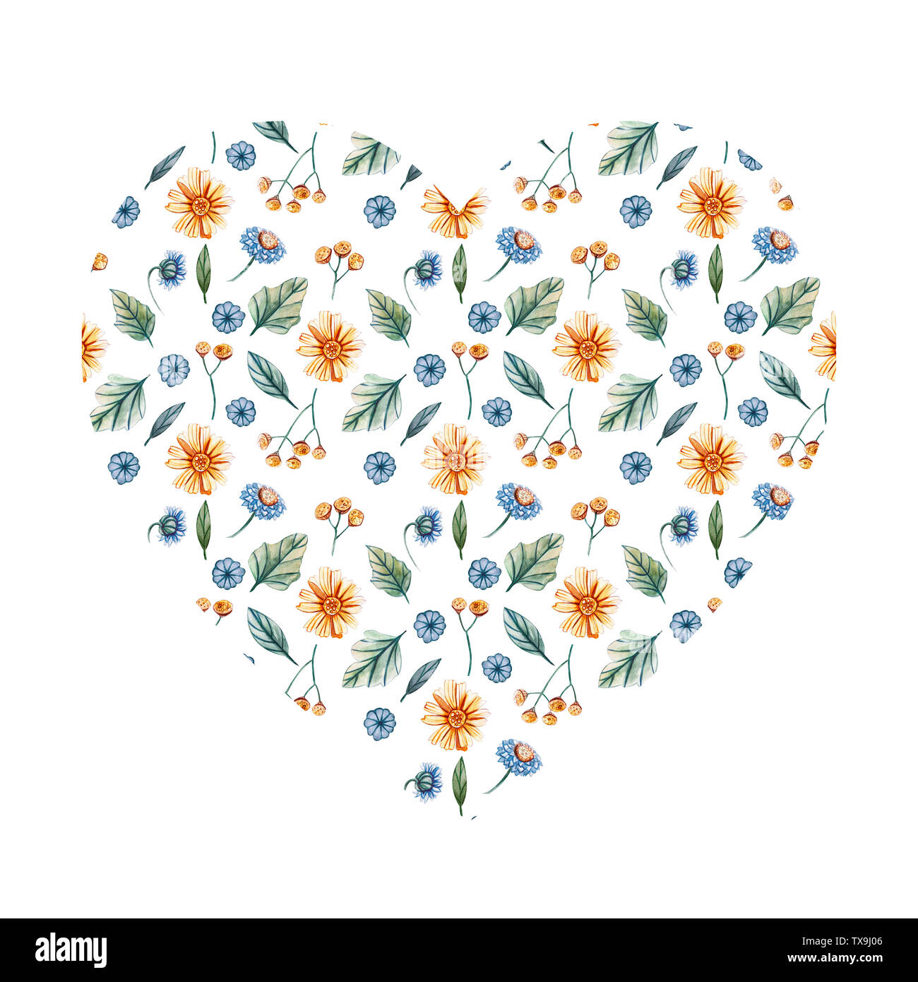 Satz von Aquarell Wildblumen und Blätter. Aquarell Illustrationen mit Rainfarn, Gänseblümchen, Kamille, grüne Blätter und Knospen. Isolierten herzen Form auf whit Stockfoto