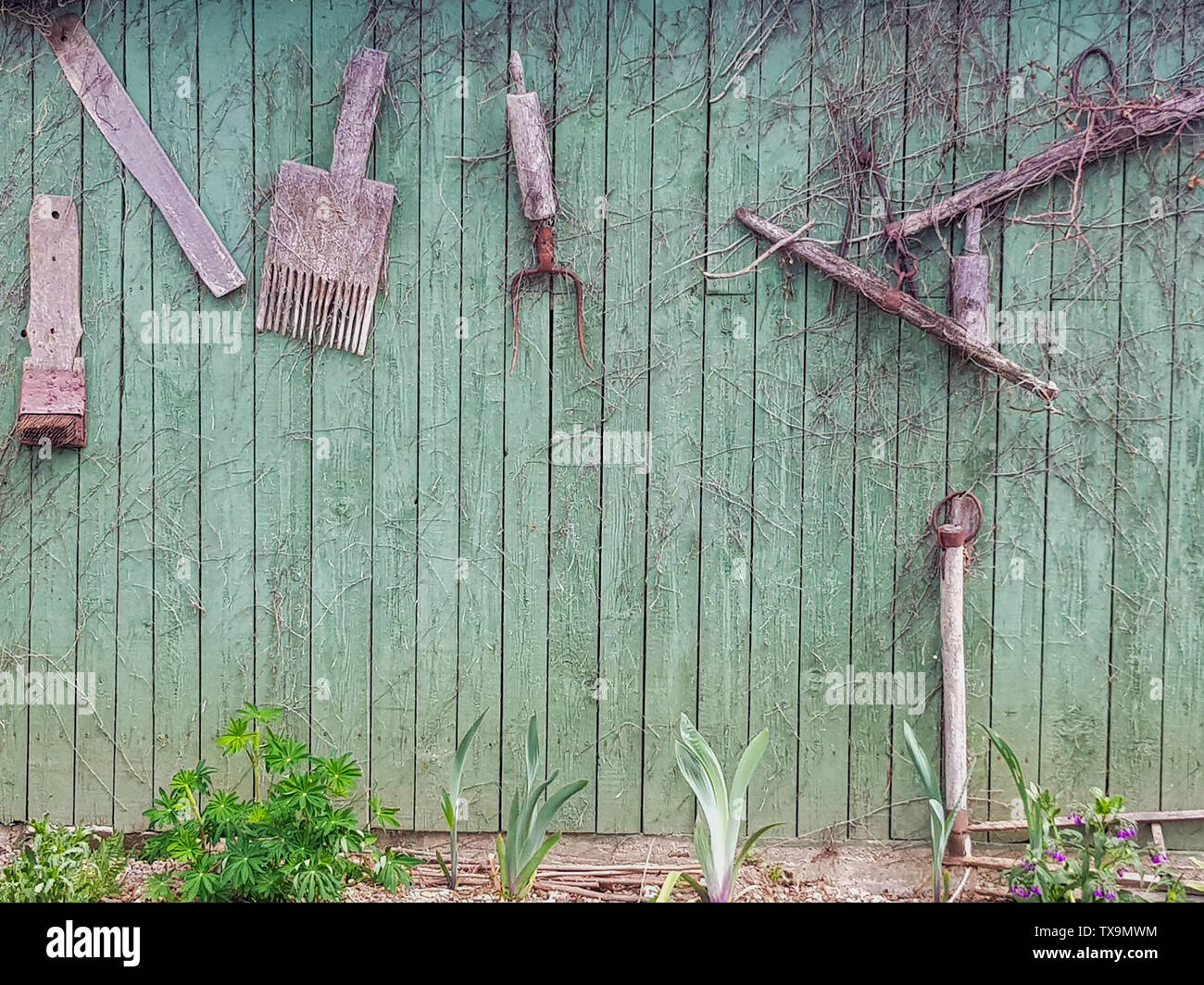 Hölzerne Wand dient als Speicher für Holz- Tools. Stockfoto