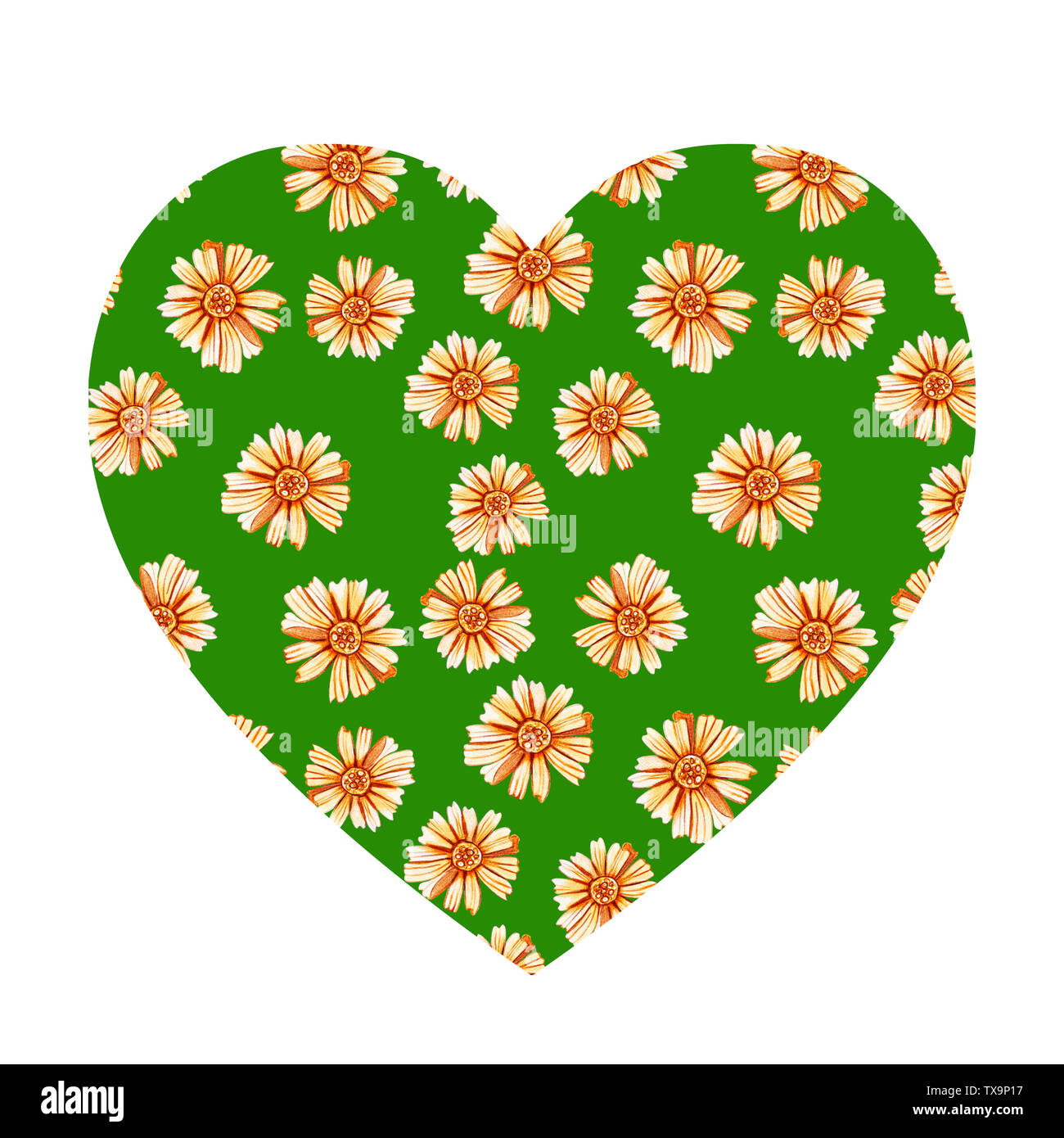 Herzform mit gelb orange Gänseblümchen. . Aquarell Wildblumen auf grünem Hintergrund. Bereich der Gänseblümchen. Design für Naturkosmetik, Kräutertee, Fa Stockfoto