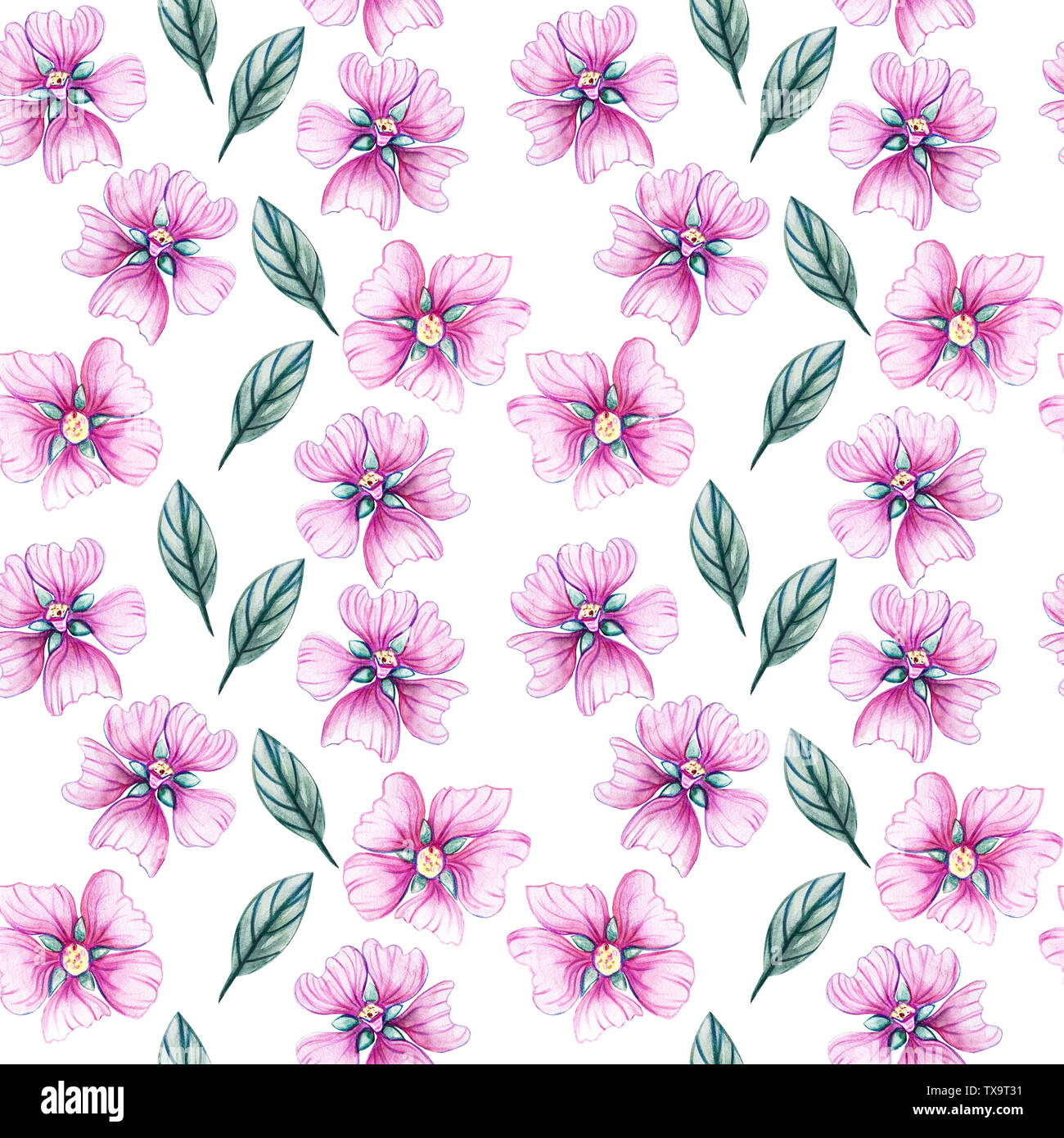 Nahtlose Muster mit Wildblumen. Aquarell Abbildung mit Malve und grünen Blättern. Malve. Sommer Konzept. Hintergrund für Grußkarten, fabric Stockfoto