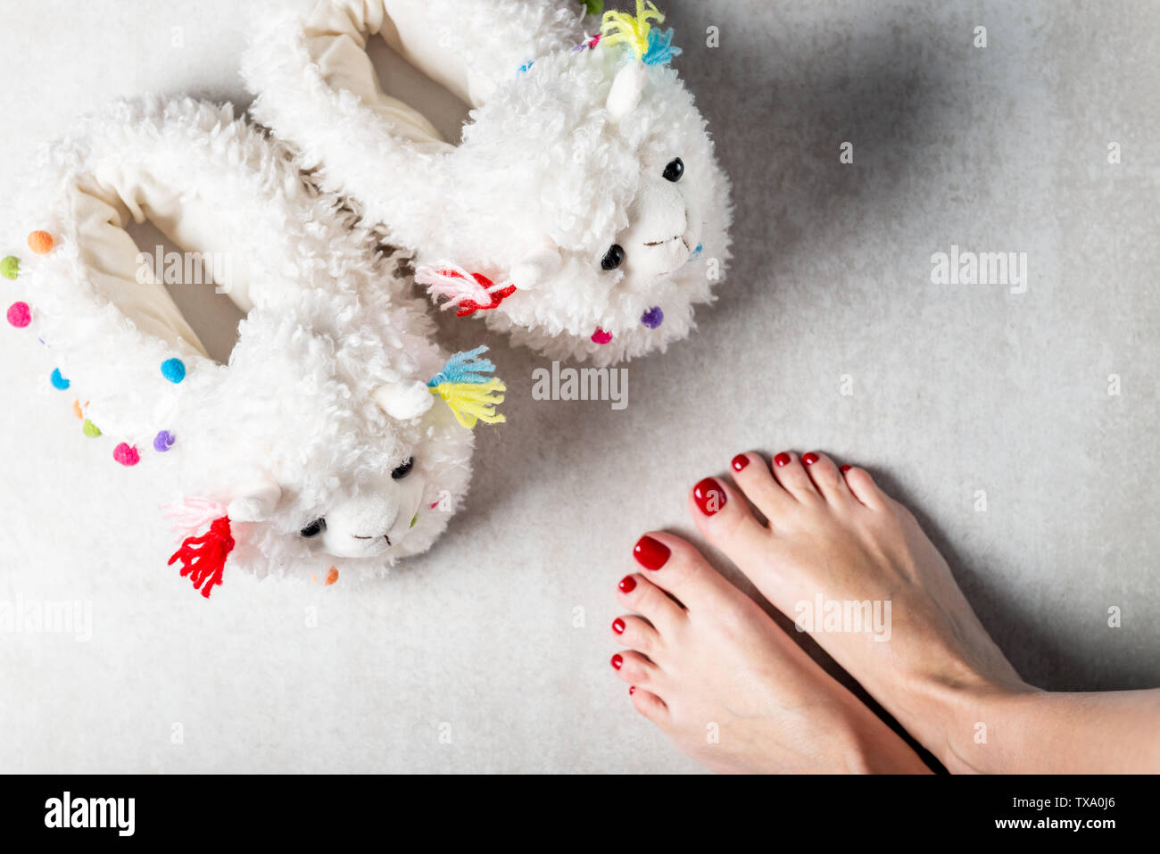 Cute soft 3d llama Hausschuhe und Füße mit roten Pediküre auf grauem Hintergrund Stockfoto